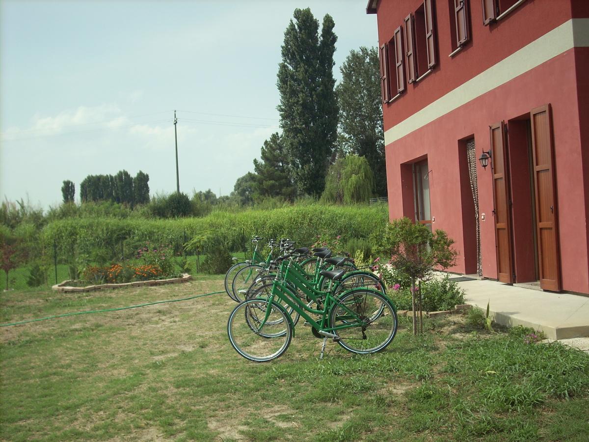 B&B Da Toni Taglio di Po Dış mekan fotoğraf